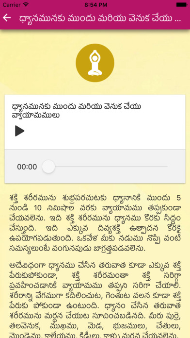 YPV Sadhana - Telugu screenshot 3