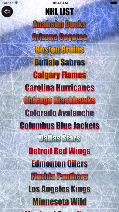 Hockey AM FM screenshot 2