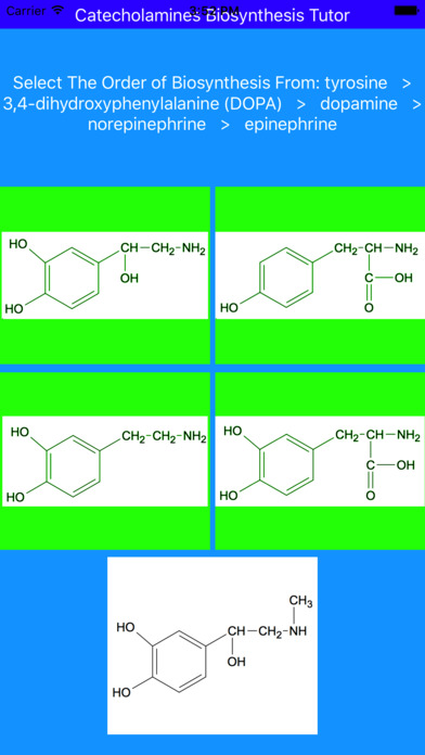 Catecholamines Synthesis Tutor screenshot 4