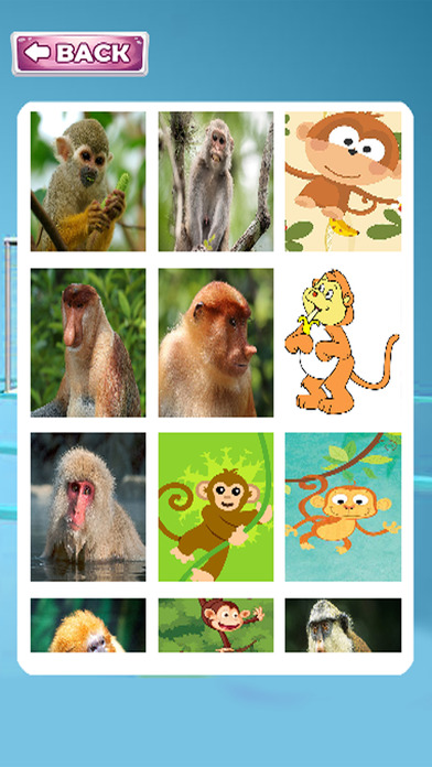Animal Education Games For Monkey Jigsaw screenshot 2