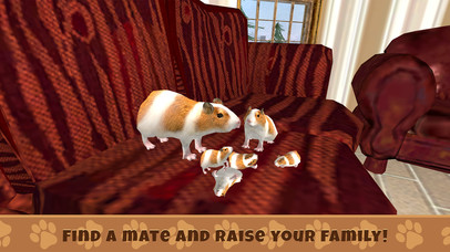 Guinea Pig Simulator Game screenshot 3