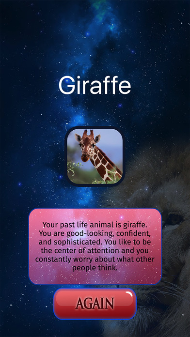 What Animal Was I In My Past Life - Crystal Ball screenshot 2