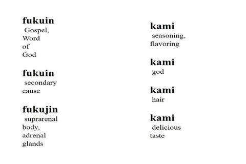 Learn Japanese Speak Japanese Learn Kanji Japanese English Dictionary Translation screenshot 3
