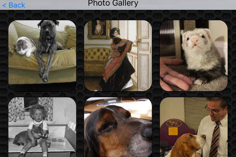 Pet Photos and Videos FREE | Loyal friends of human kind screenshot 4