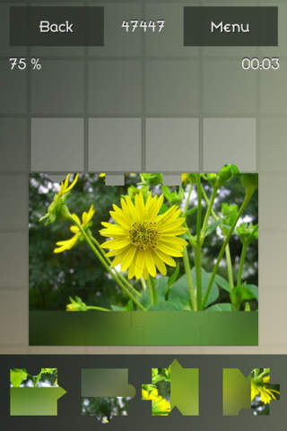 Pro Flowers Puzzle screenshot 2
