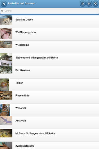 Reptiles by regions screenshot 2