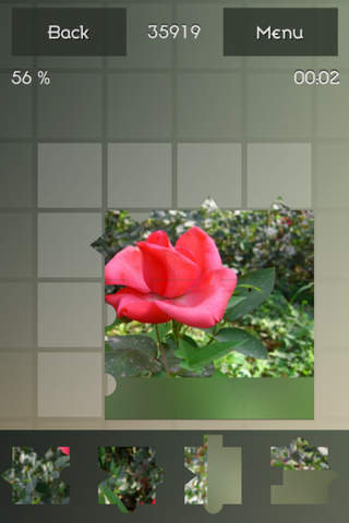 Pro Flowers Puzzle screenshot 3