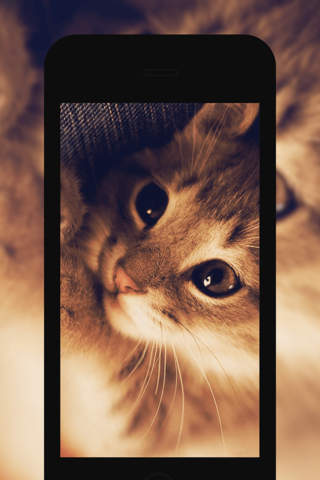 Cute 6s HD Wallpapers - Retina Wallpaper.s & Background.s for iPhone Lockscreen for Free screenshot 3