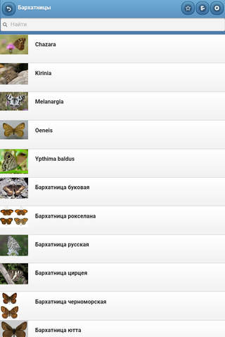 Directory of butterflies screenshot 2