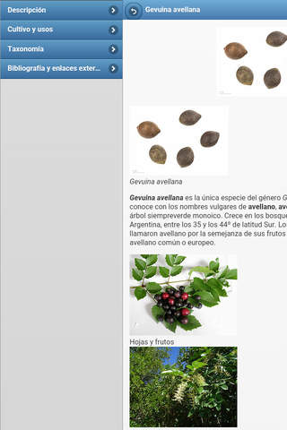 Nuts and seeds screenshot 3