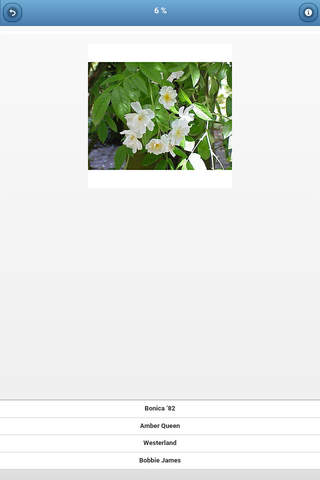 Varieties of roses - quiz screenshot 2
