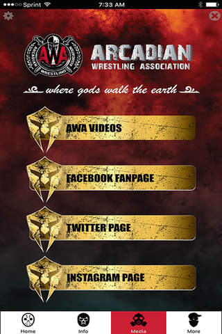 Arcadian Wrestling Association screenshot 3