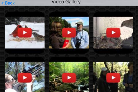Bird Watching Photos & Videos FREE | Amazing 296 Videos and 55 Photos screenshot 2