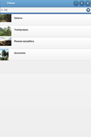 Directory of palma screenshot 4