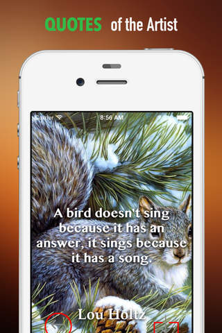 Squirrel Wallpapers HD: Quotes Backgrounds with Art Pictures screenshot 4