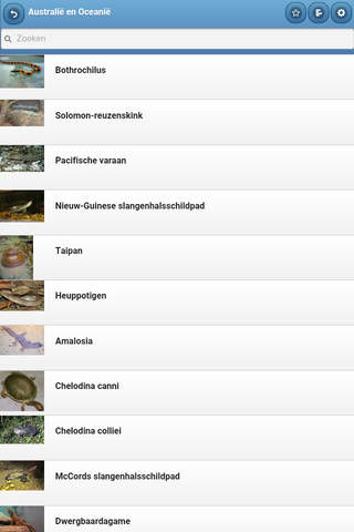 Reptiles by regions screenshot 2