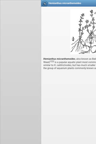 Directory of aquarium plants screenshot 3