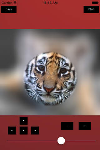 Faceblur - Amazing blur effects facetune screenshot 4