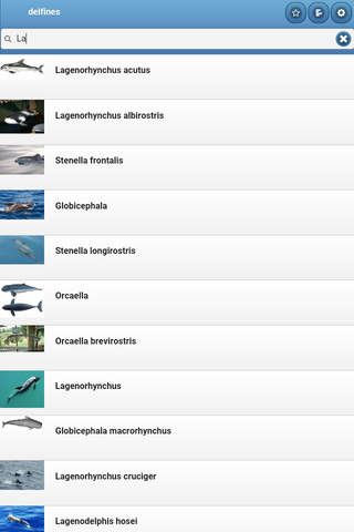 Directory of dolphins screenshot 4