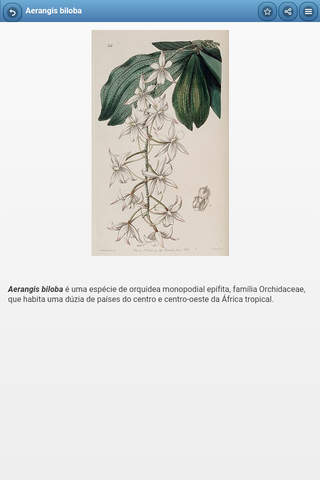 Perennial herbs screenshot 2