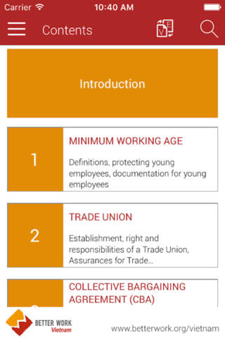 Vietnamese Labour Law Guide screenshot 2