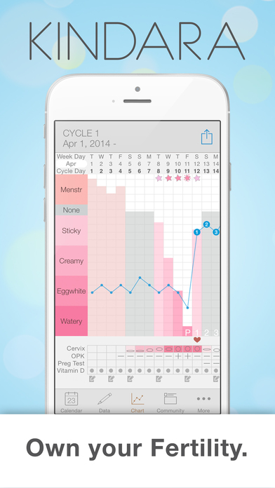 Fertility Chart Calculator