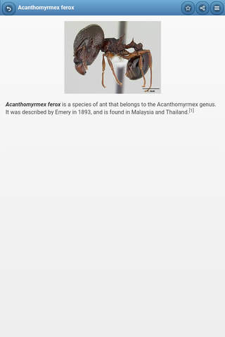 Directory of ants screenshot 3