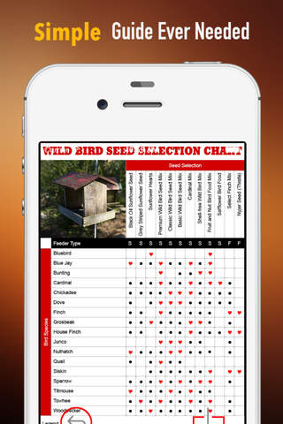 Bird Seed 101:Tips and Tutorial screenshot 2