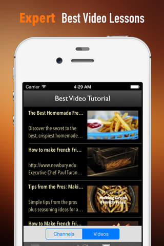 French Fries 101:Ingredients,Guide and Recipes screenshot 3