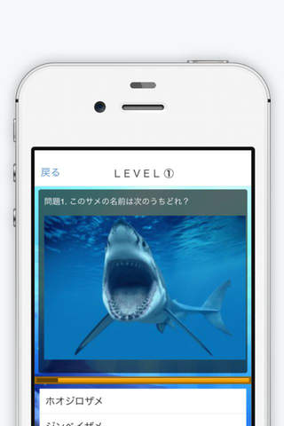 サメクイズ＆鮫図鑑　海の危険生物 screenshot 2