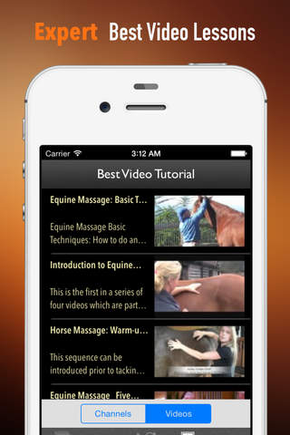Equine Massage:Basic Techniques screenshot 3