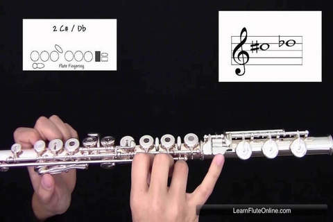 Flute Lessons - How To Play Flute By Videos screenshot 2