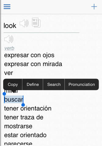 Spanish Dictionary + screenshot 3