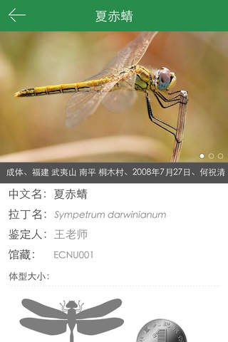 上海昆虫 screenshot 2