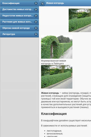 Ornamental shrubs screenshot 3