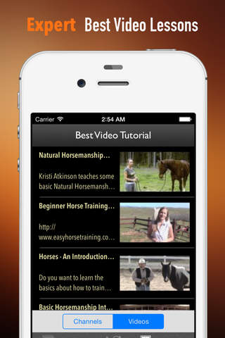 Horseman Guide: Horsemanship Guide screenshot 3