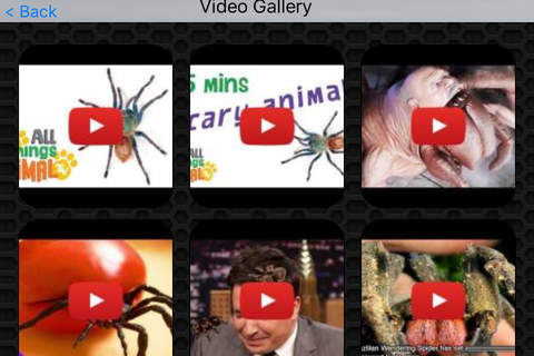 Spider Photos and Videos screenshot 2
