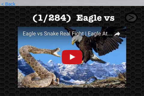 Eagle Video and Photo Galleries FREE screenshot 3
