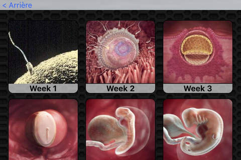Pregnancy Week by Week Photos and Videos - Learn about the development of your baby and your body screenshot 2