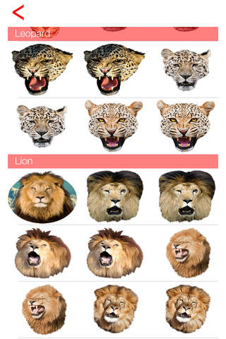 Animal Faces Free - A Ultimate Heads Camera for yr. selfies screenshot 2