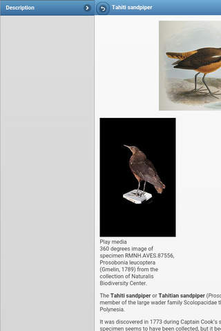 Directory of birds screenshot 4