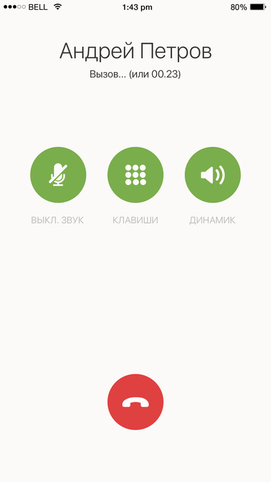 iPhone Screenshot 5
