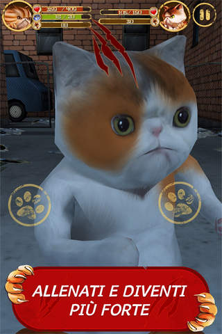 Puss Box 3D - Cat Fight screenshot 3