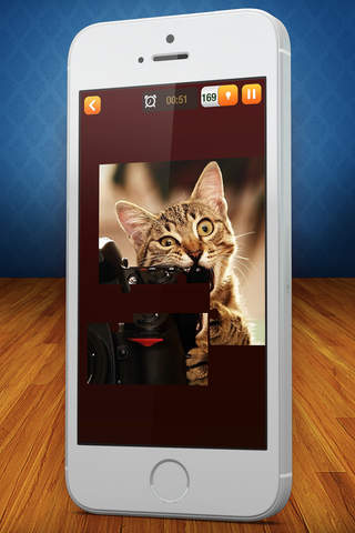 Cat Puzzle Pic Game – Cute Kitten Jigsaw With Real Pet Photo For Kid.s screenshot 4