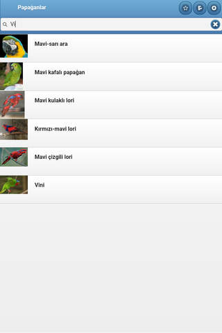 Directory of parrots screenshot 4