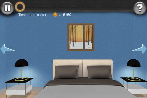 Can You Escape 11 Special Rooms Deluxe screenshot 4