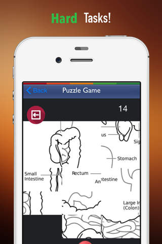 Memorize Human Digestive System Anatomy by Sliding Tiles Puzzle: Learning Becomes Fun screenshot 4