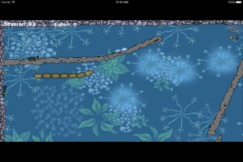 水蛇吃蝌蚪-水蛇在水中游荡,捕食蝌蚪获取高分 screenshot 3