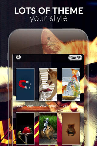 Wallpapers and Backgrounds  Funny  Themes : Pictures & Photo Gallery Studio screenshot 2