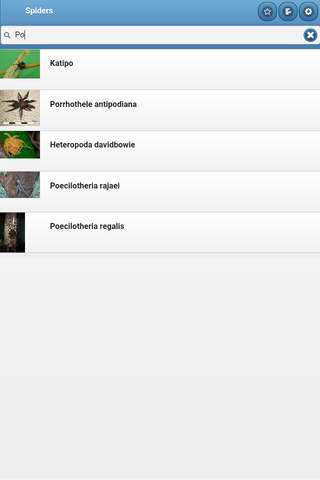 Directory of spiders screenshot 4